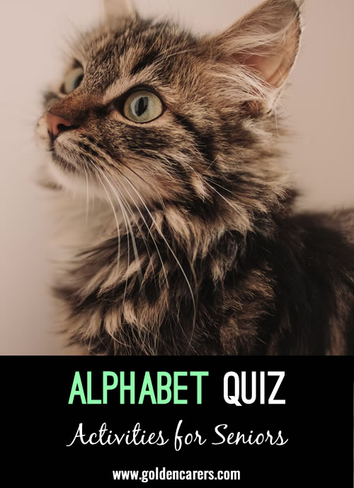 Alphabet Quiz #3