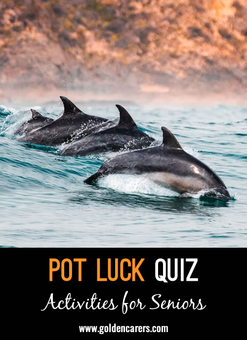 Pot Luck Quiz 37