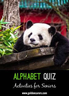 Alphabet Quiz #4