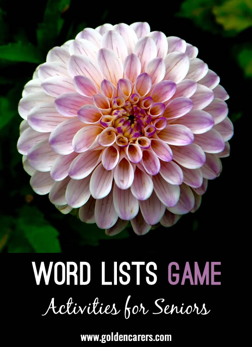 Word Lists Game