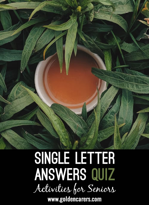 Single Letter Answers Quiz