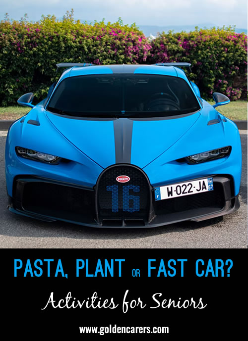 Pasta, Plant or Fast Car? #1