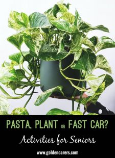 Pasta, Plant or Fast Car? #2