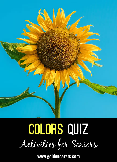 Colors Quiz #2