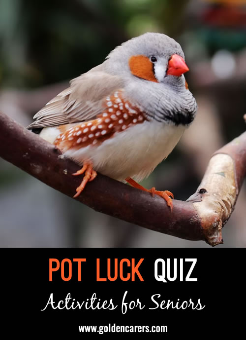 Pot Luck Quiz 41