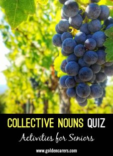 Collective Nouns Quiz