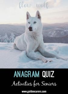 Anagram Quiz #8