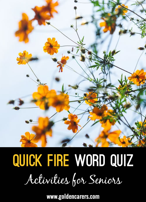 Quick Fire Word Quiz