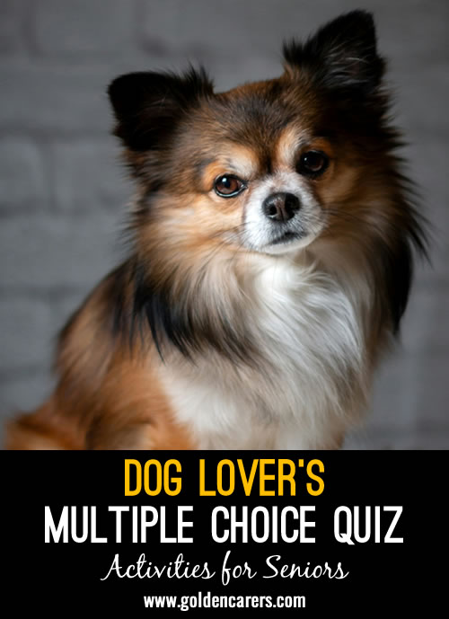 Dog Lover’s Multiple Choice Quiz