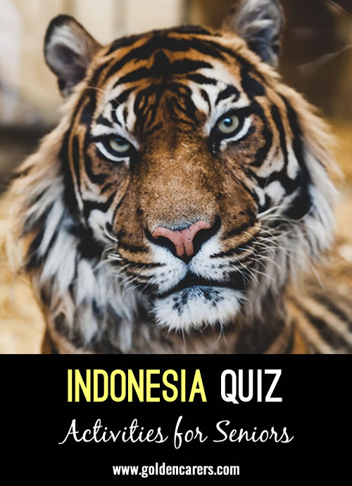 Indonesia Quiz