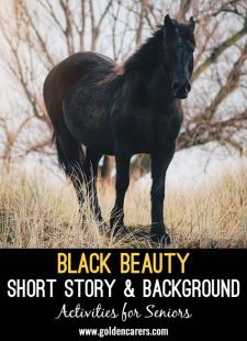 Black Beauty Short Story & Background