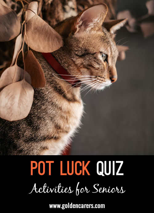 Pot Luck Quiz 46