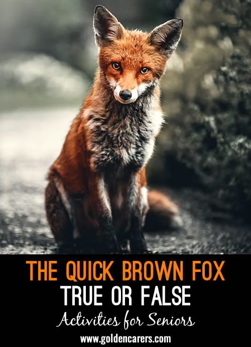 Quick Brown Fox - True or False?