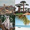 Madagascar Landmark Posters