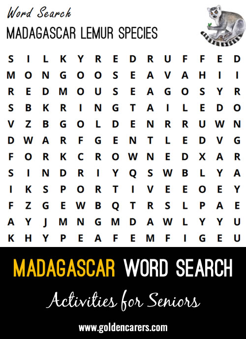 Madagascar Word Search - Lemur Species