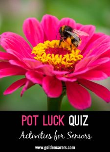 Pot Luck Quiz 52