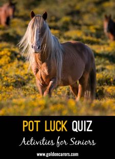 Pot Luck Quiz 53