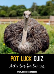 Pot Luck Quiz 54