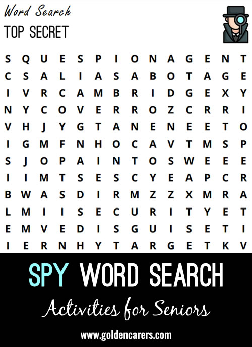 Spy Word Search