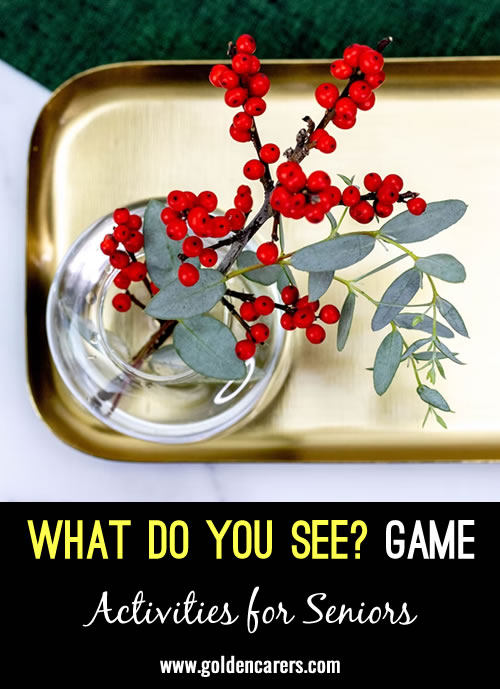 What do you see? Game