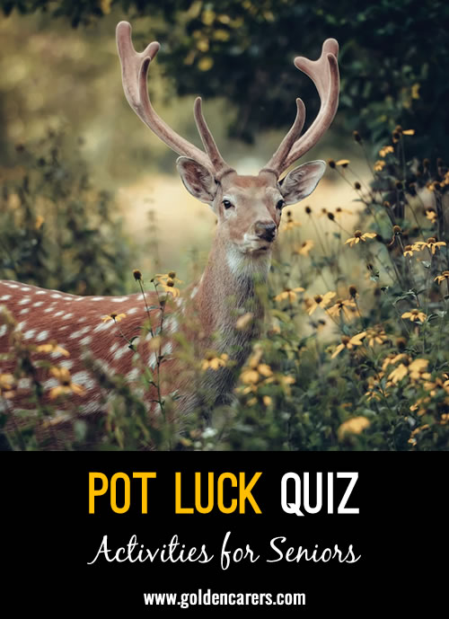 Pot Luck Quiz 58