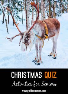 Christmas Quiz XI