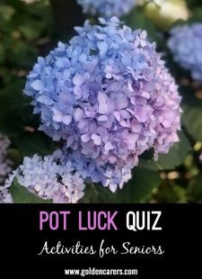 Pot Luck Quiz 60