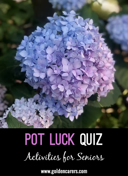 Pot Luck Quiz 60