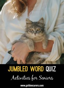 Jumbled Word Quiz 