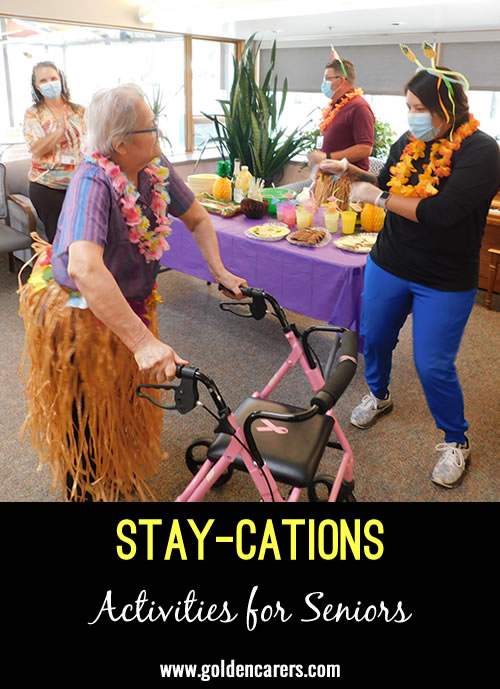 STAY-cations