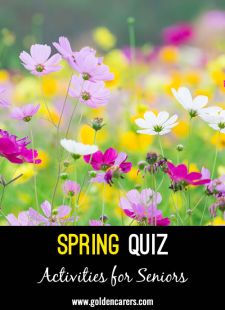 Spring Quiz #2