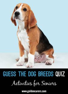 Guess the Dog Breeds Quiz