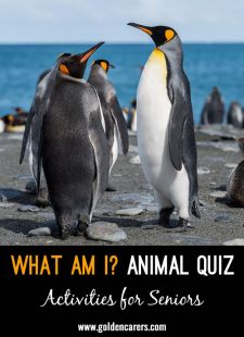 What Am I? Animal Quiz