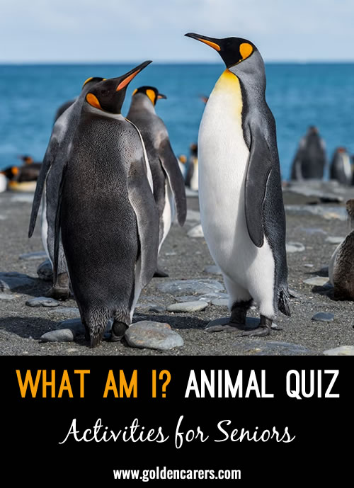 What Am I? Animal Quiz