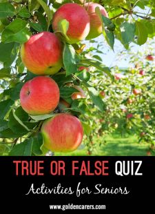 True or False Quiz #7