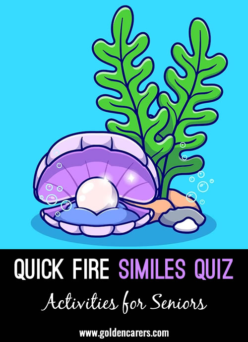 Quick Fire Similes Quiz