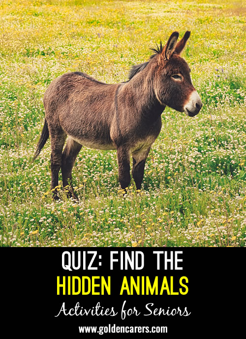 Find the Hidden Animals Quiz