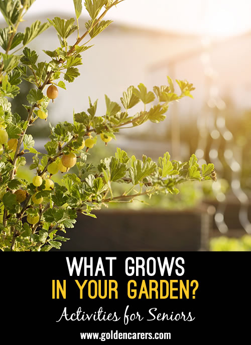 What Grows in Your Garden? Reminiscing Activity