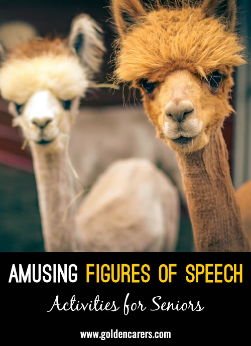 Amusing Figures of Speech