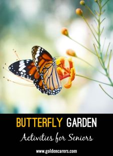 Butterfly Garden