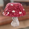 Toadstool Craft