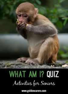 What Am I Quiz #6