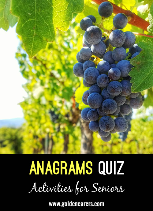 Anagram Quiz #10