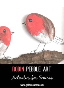 Robin Pebble Art