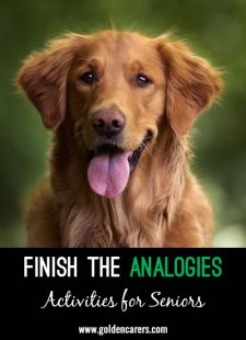 Finish the Analogies Quiz #2