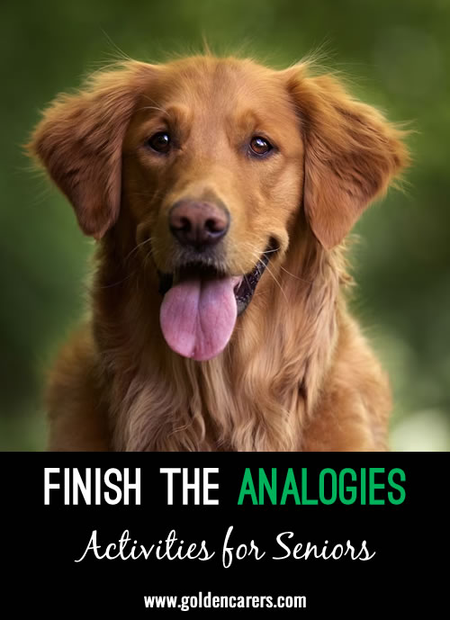 Finish the Analogies Quiz #2