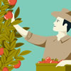 Johnny Appleseed Trivia & Quiz