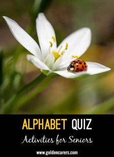 Alphabet Quiz #6