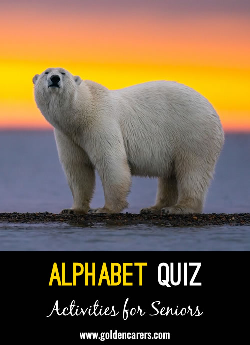 Alphabet Quiz #7