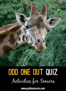 One One Out Quiz #2